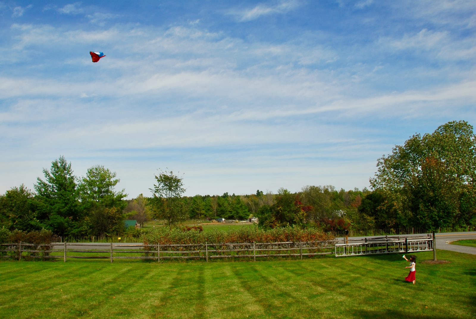 Contest entry: Go Fly a Kite