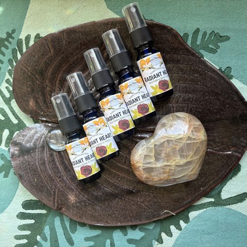 Bear Moon Botanica