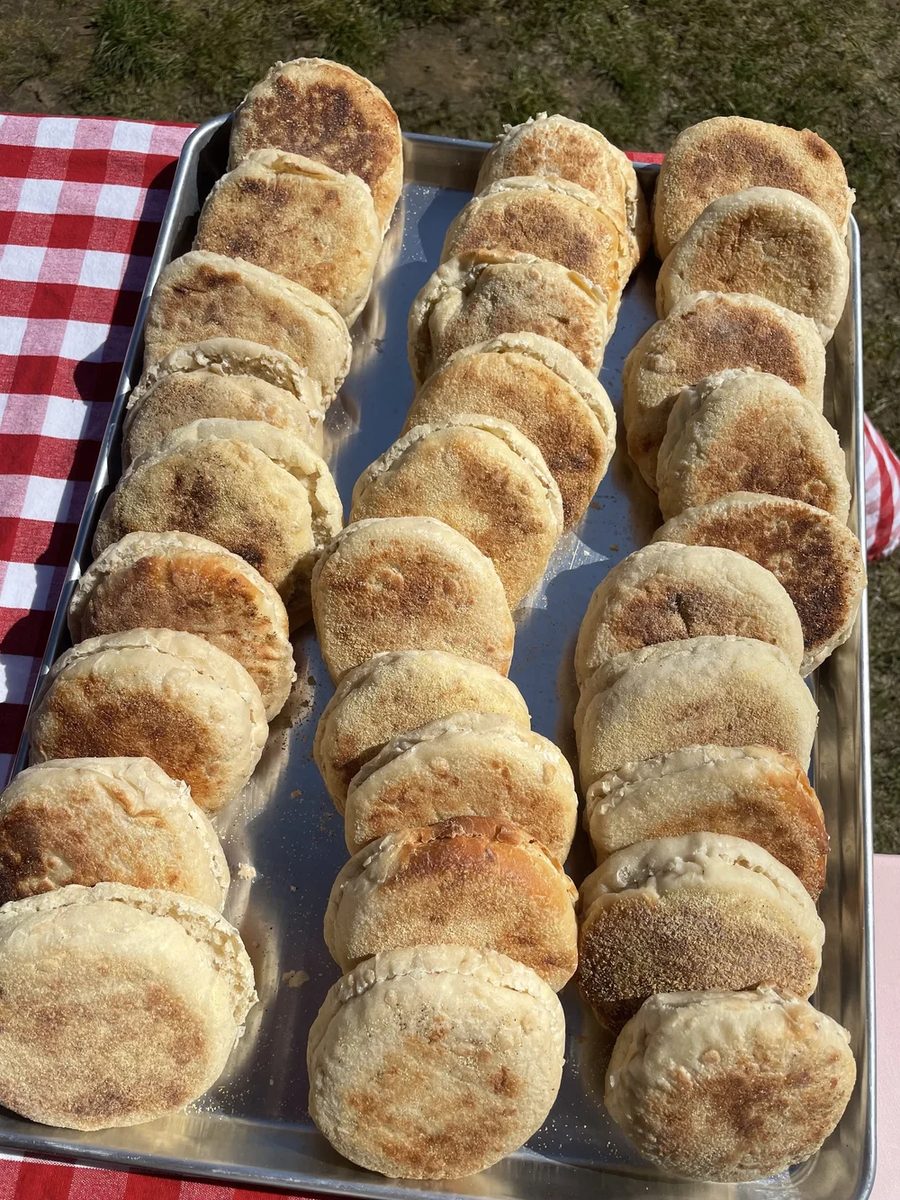 Three rows of freshly baked English muffins cooling on a sheet pan.