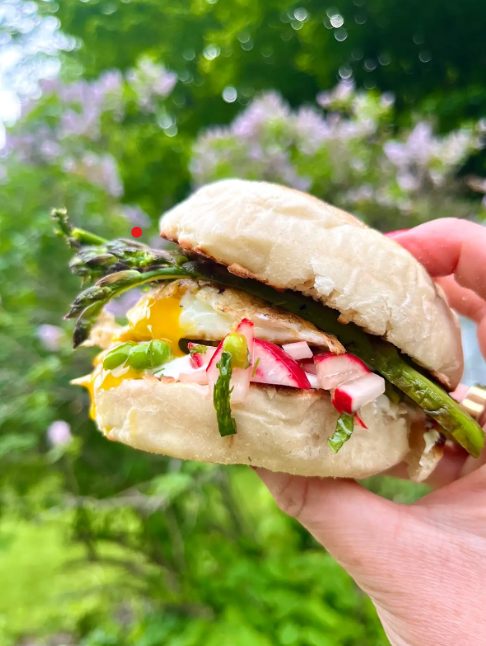 A spring sandwich held up against lilacs — asparagus, sliced radish, herbs and a soft egg on an English muffin.
