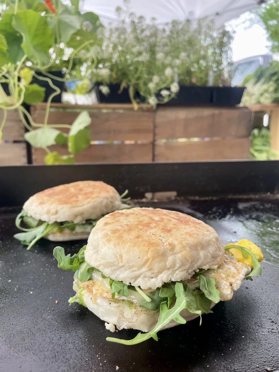 Two sandwiches with greens and egg finishing on the flat-top griddle, herb planters behind.