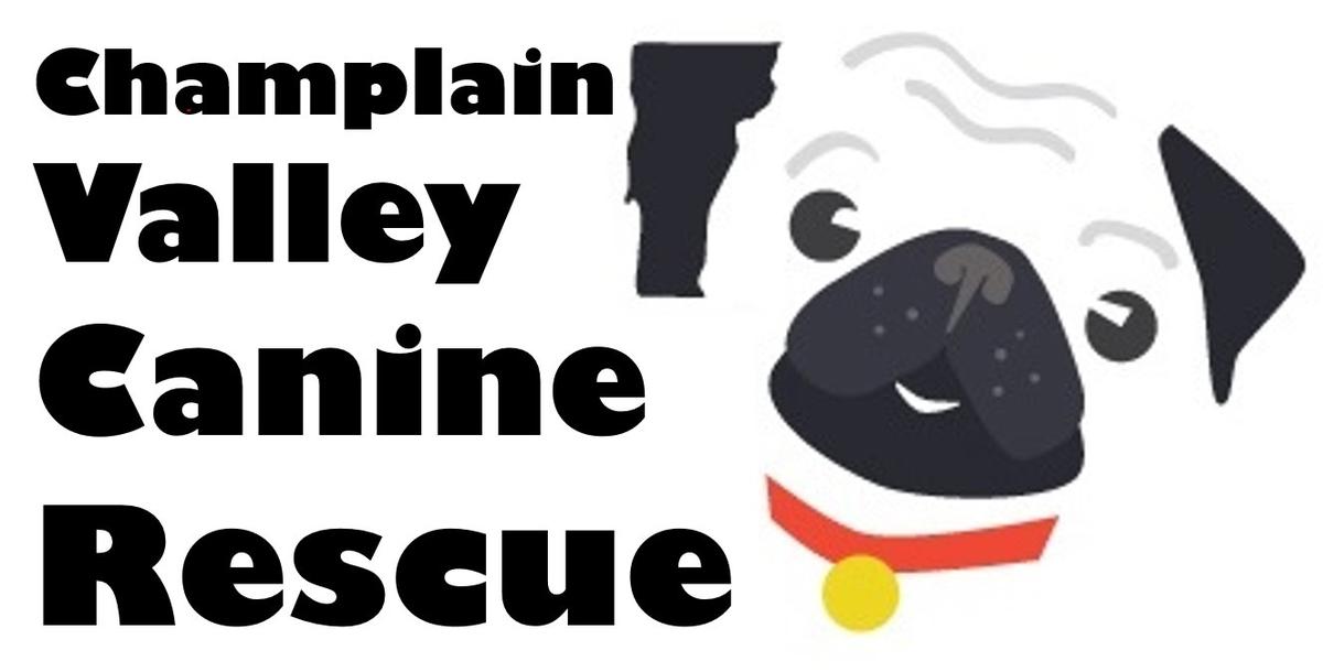 Champlain Valley Canine Rescue photo.