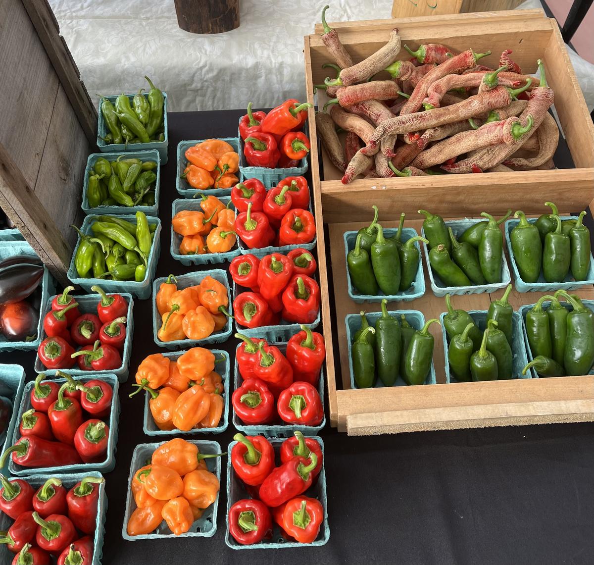 Farmer Hil — additional photo 6