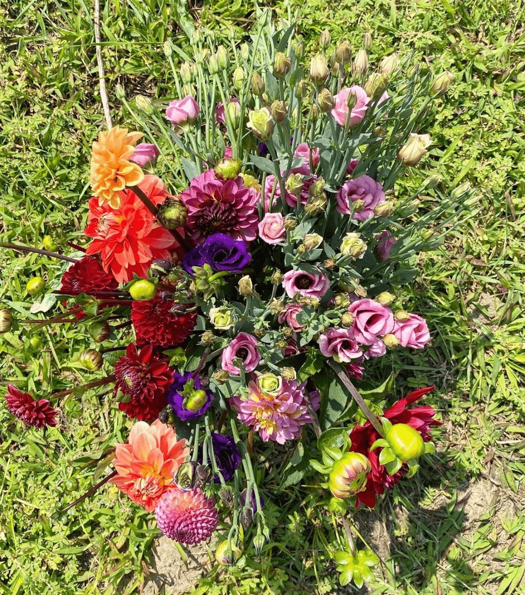Firefly Flowers — additional photo 2