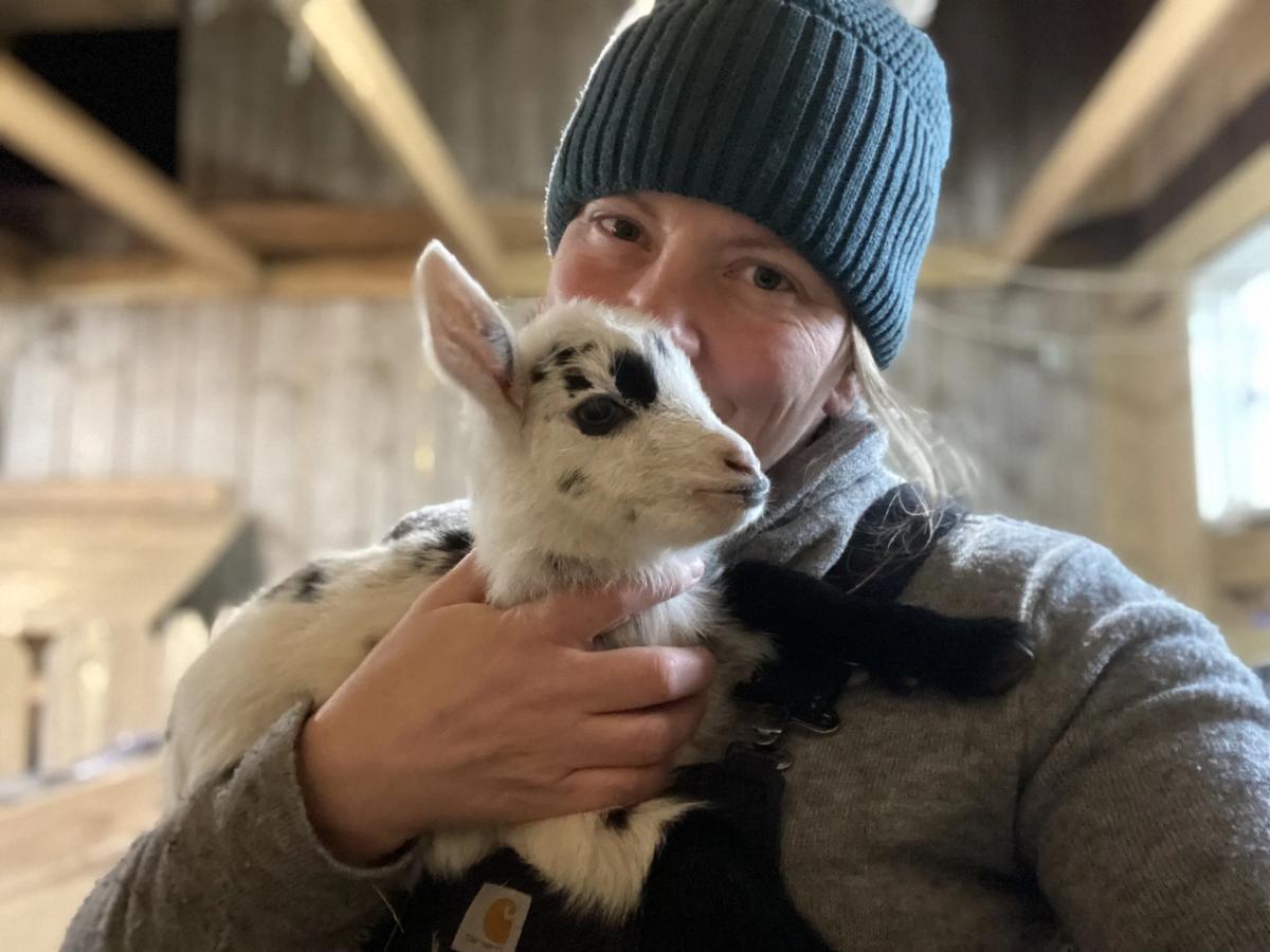 Margaret Aiken holding one of her Nigerian Dwarf kids in the barn at Flower Gap Farm.
