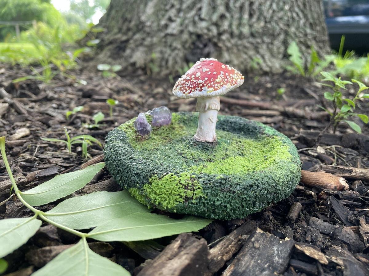Hazelbuds Clay Co — additional photo 1