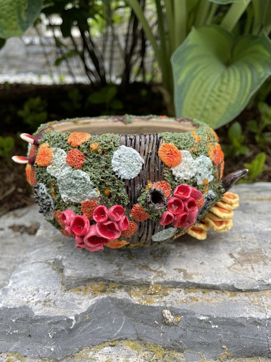 Hazelbuds Clay Co — additional photo 3