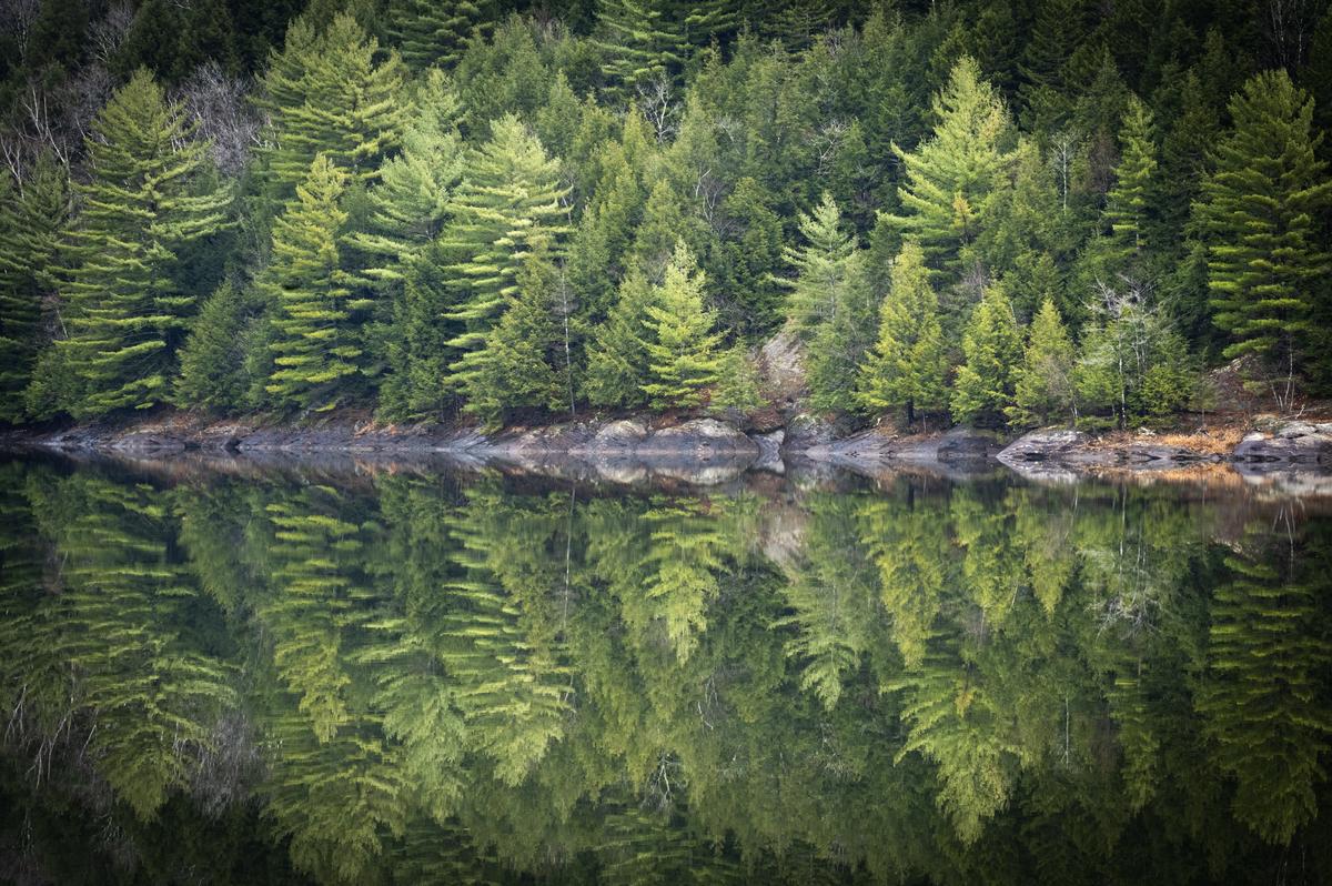 Jonathan Hart Photography — additional photo 14