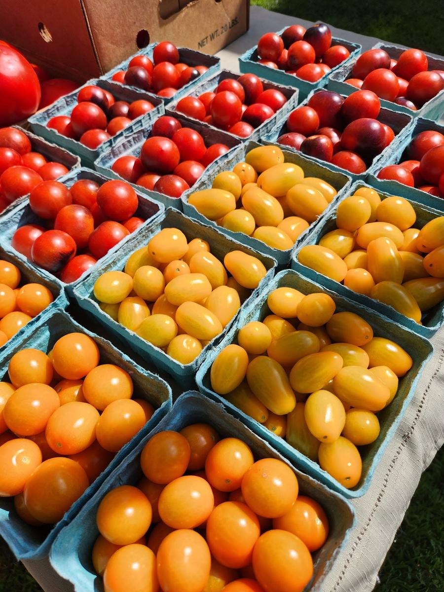 Lalumiere Farm — additional photo 4