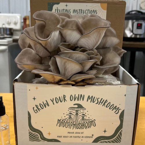 Madcap Mushrooms