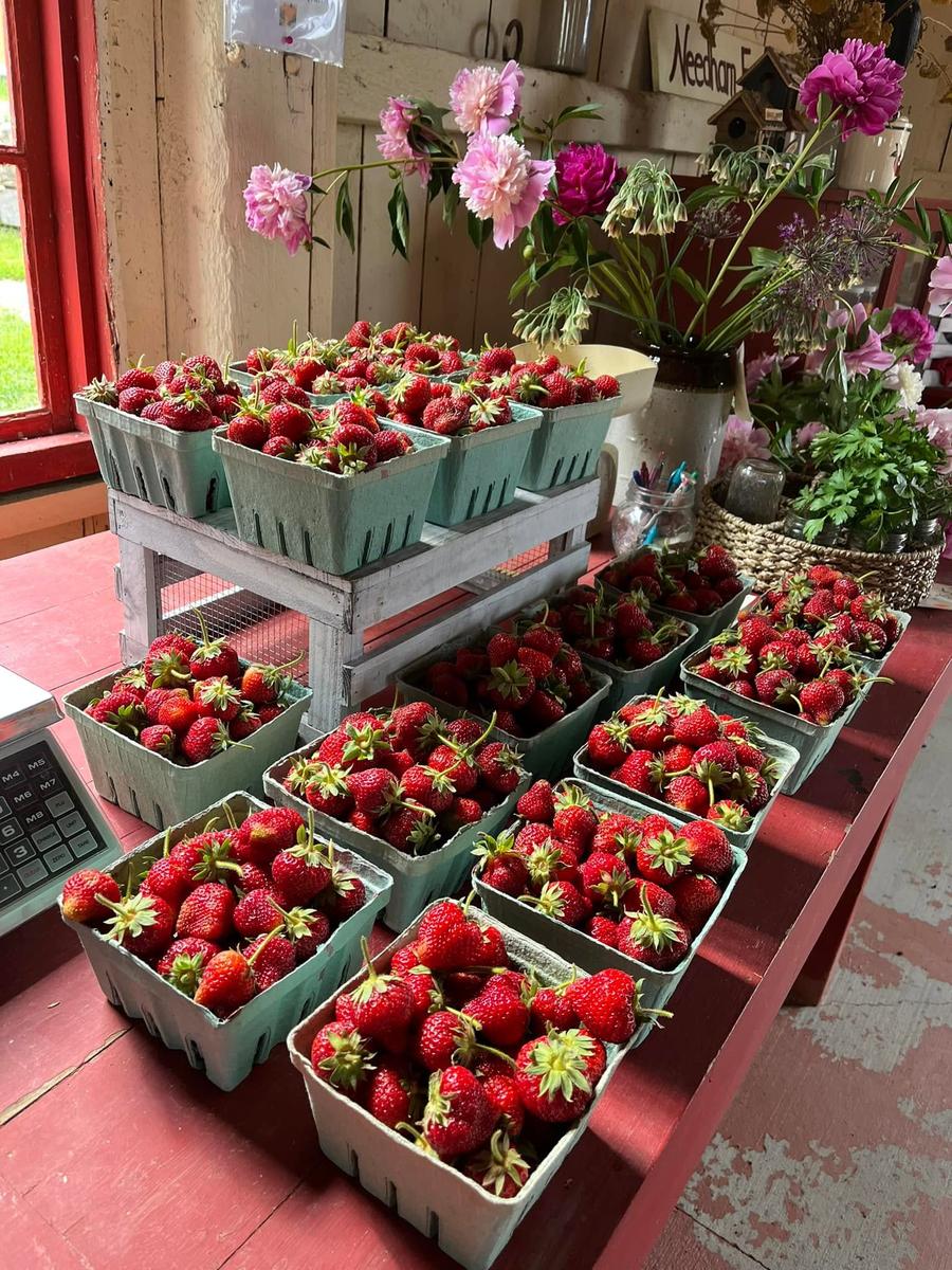 Needham Family Farm — additional photo 4