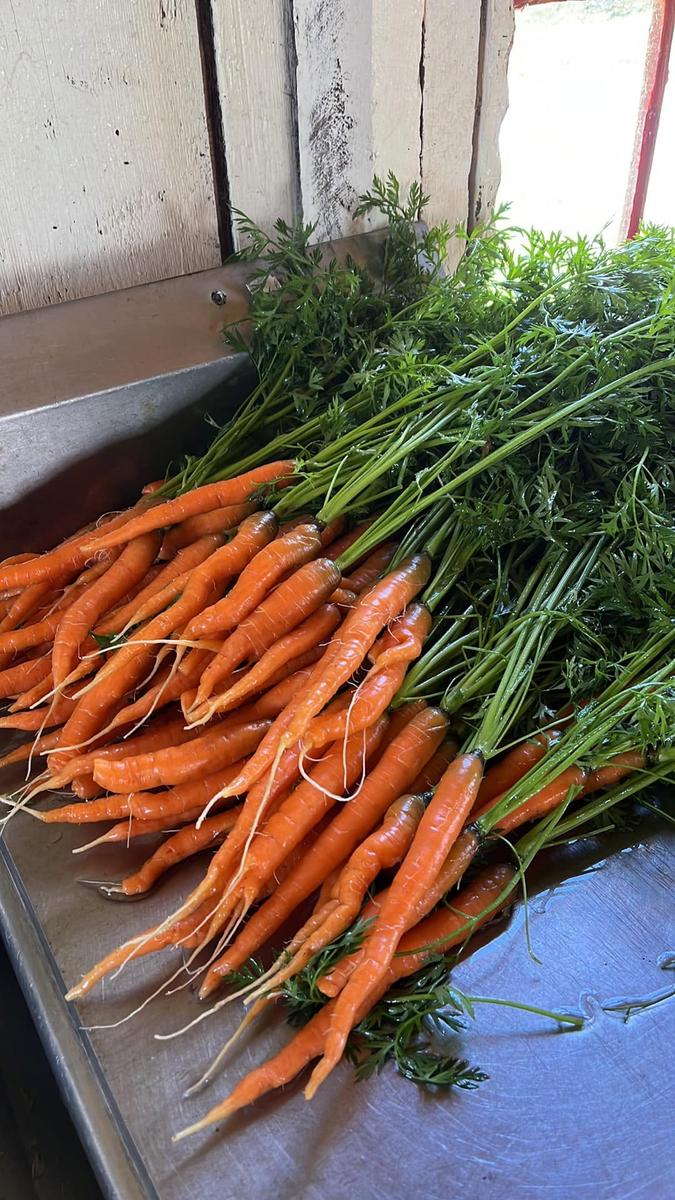 Needham Family Farm — additional photo 5