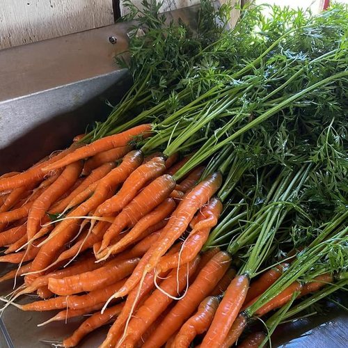 Needham Family Farm