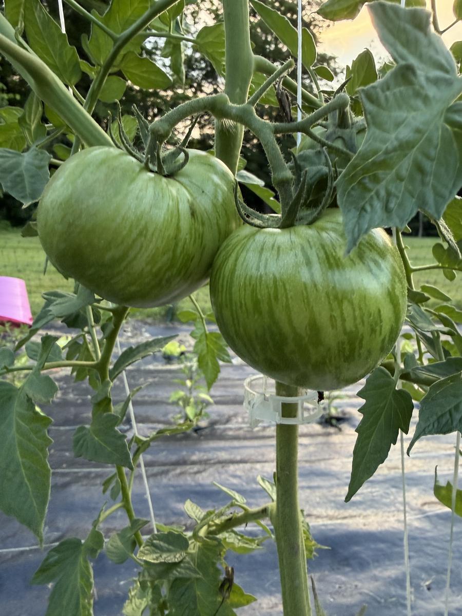 Plouffe Lane Garden Co. — additional photo 12
