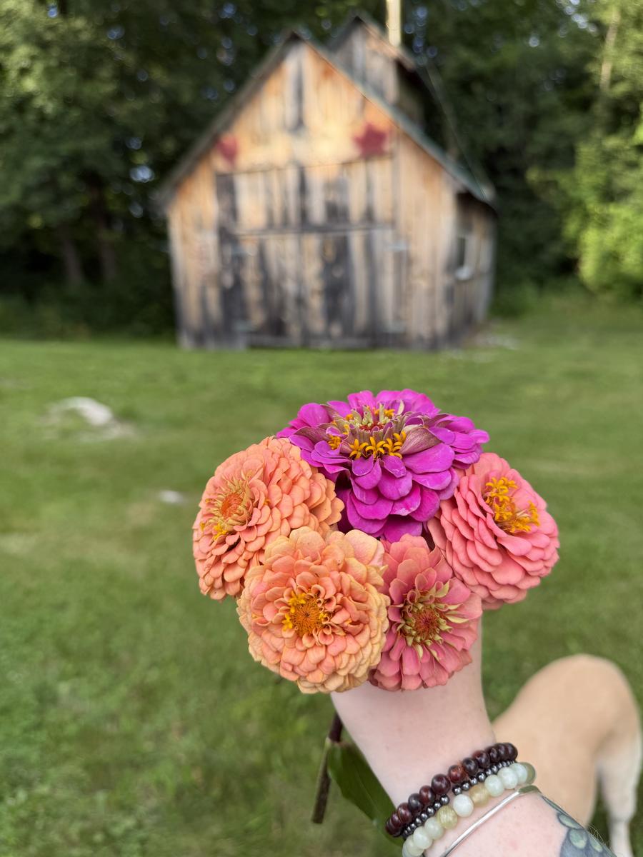 Plouffe Lane Garden Co. — additional photo 13