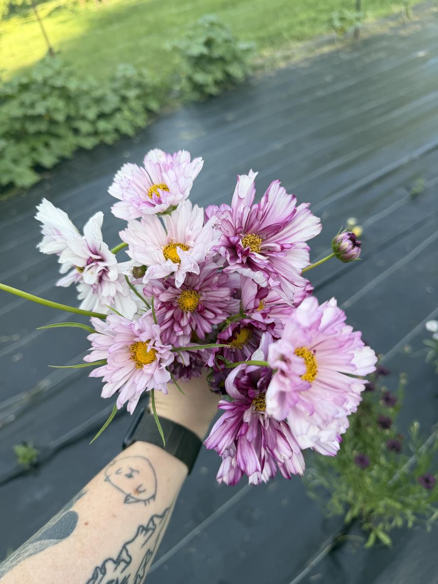 Plouffe Lane Garden Co. — additional photo 15
