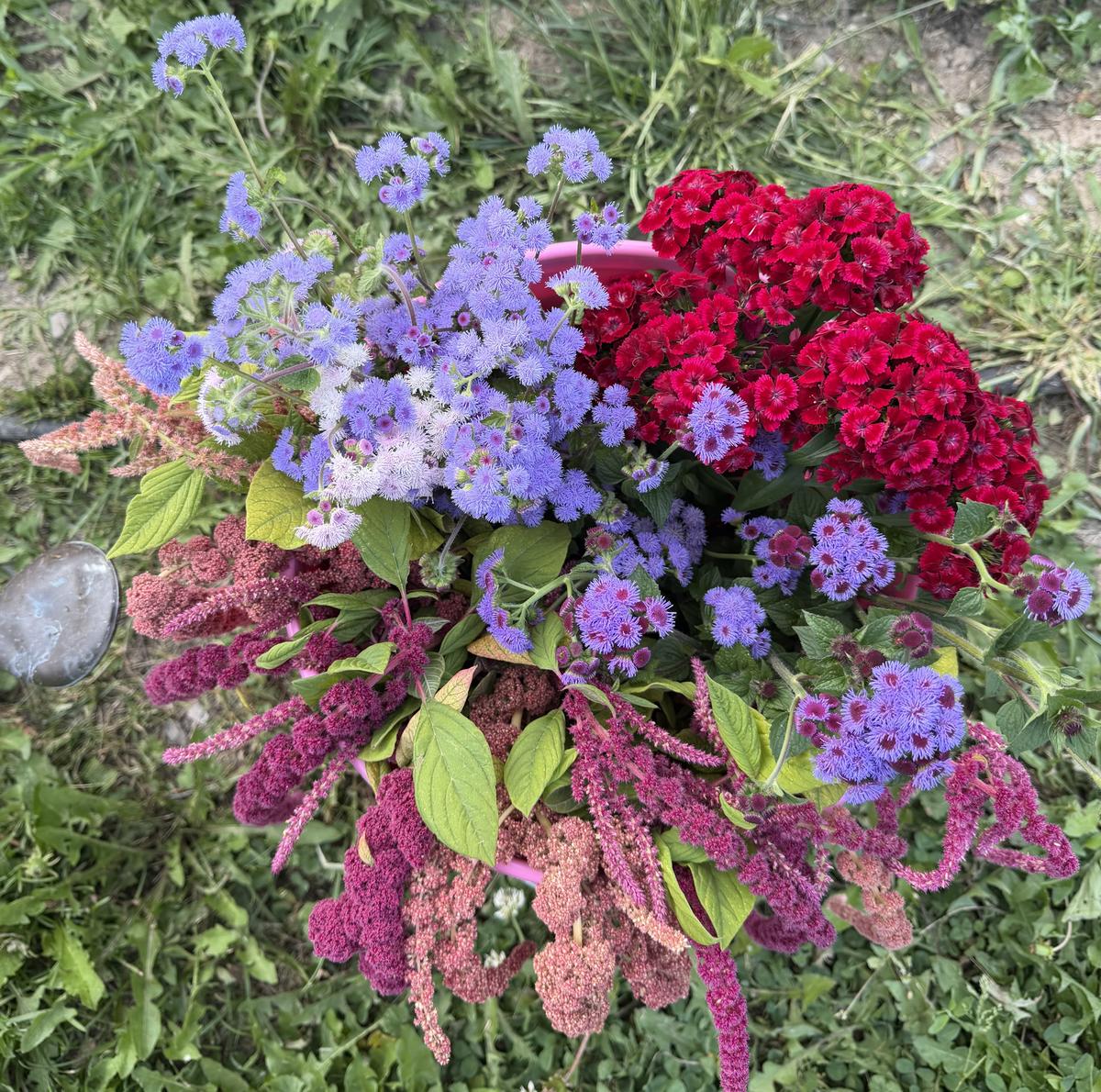 Plouffe Lane Garden Co. — additional photo 16