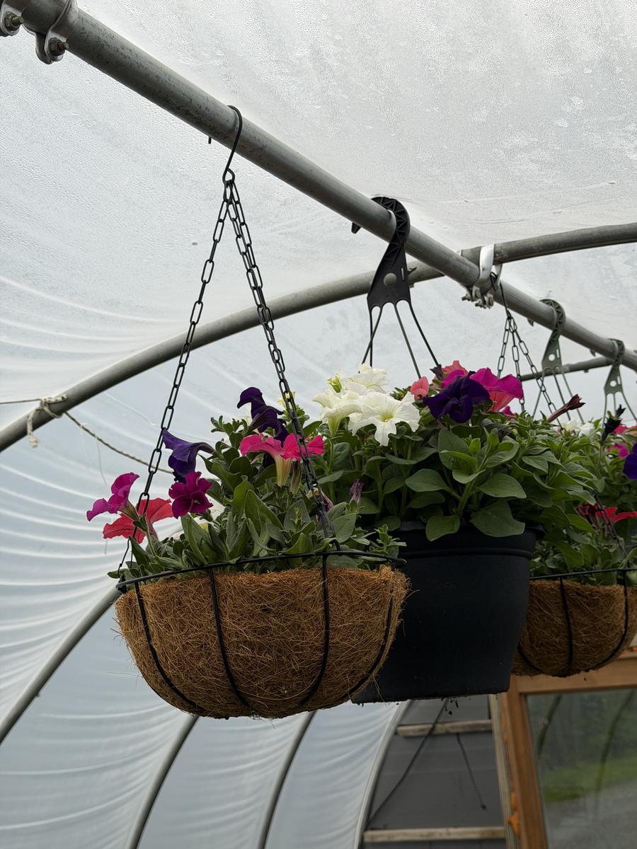 Plouffe Lane Garden Co. — additional photo 3
