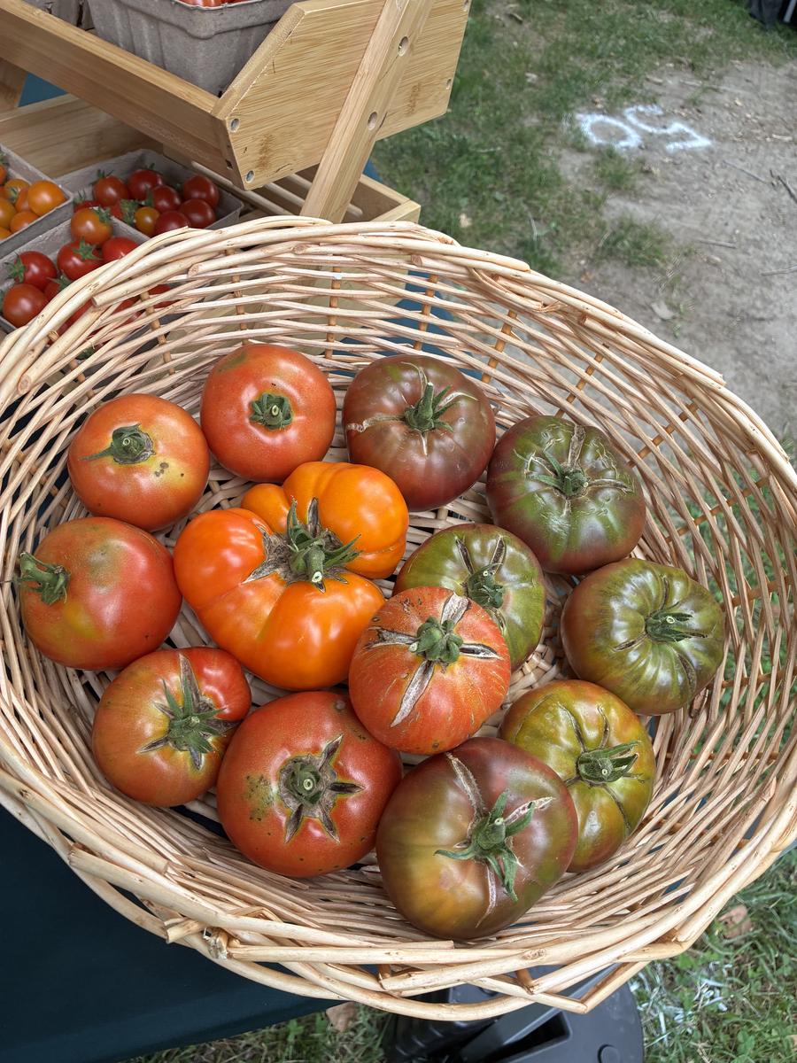 Plouffe Lane Garden Co. — additional photo 9