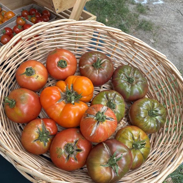 Plouffe Lane Garden Co.