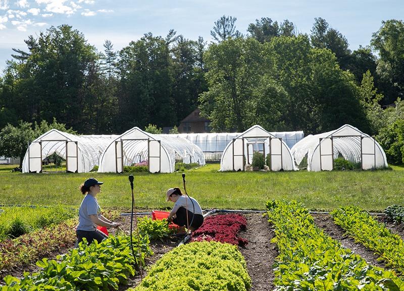 Shelburne Farms Welcome Center — additional photo 7