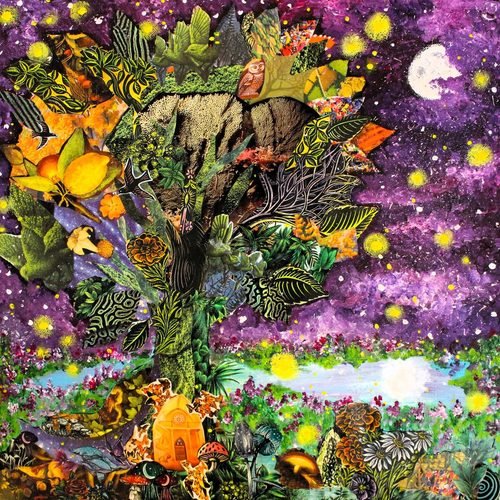The Astral Space