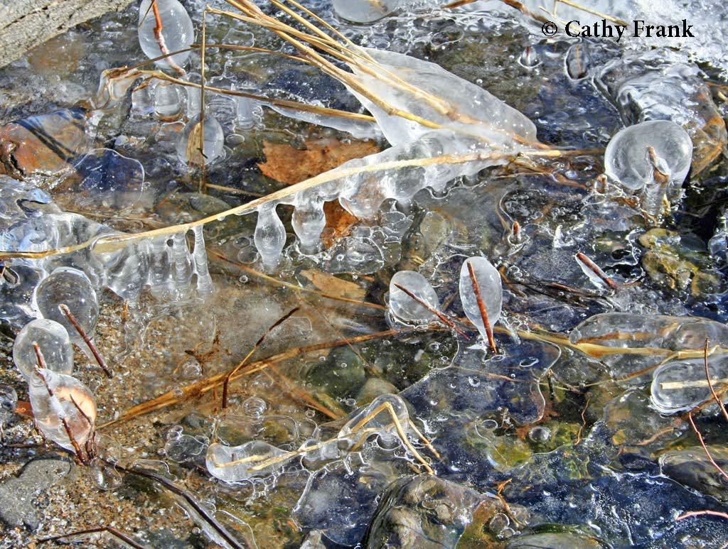 The Lake Champlain Committee — additional photo 10