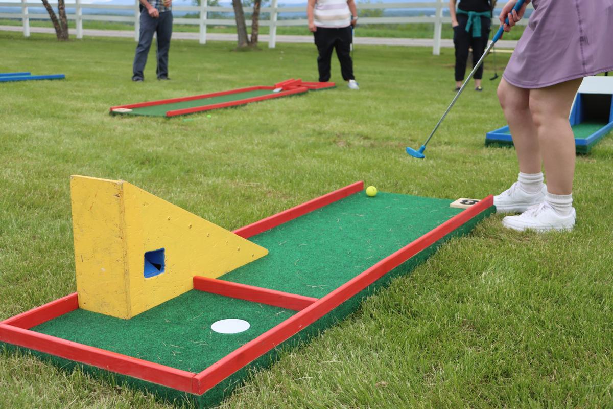 The Portable Mini Golf Company — additional photo 3