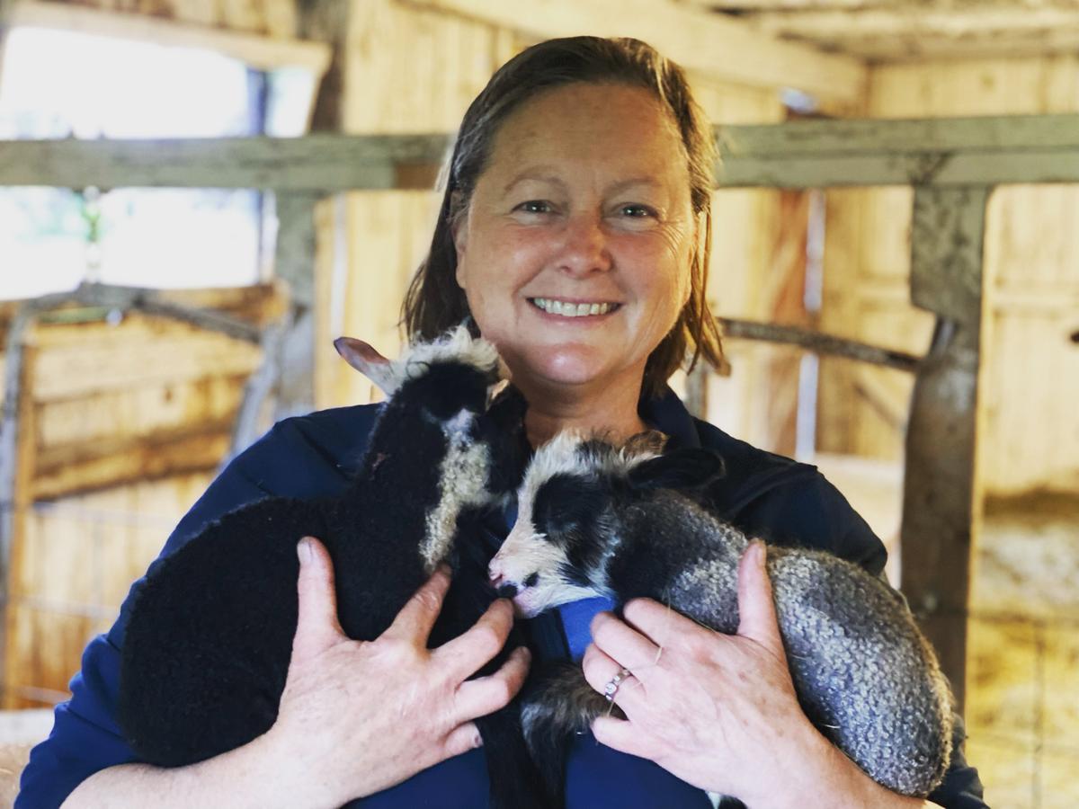 Wiggly Goat Farm photo.