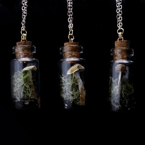 Wild Perennial